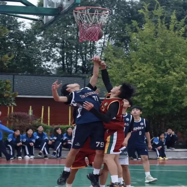 球队名单变化与赛程分析深度解读：第231组专稿解析 专稿第12230期